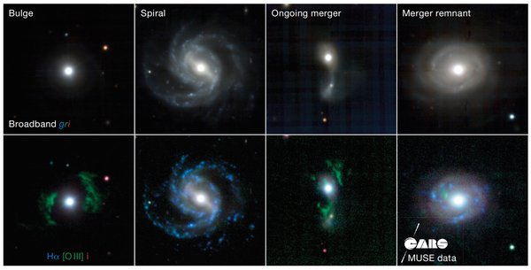Galaxies in CARS observed with MUSE