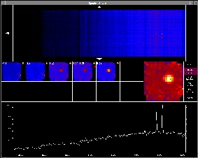 PMAS Visualization Tool