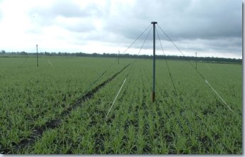 LOFAR-Antennen