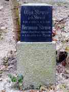 Grabstein von Karl Hermann Struve und se...