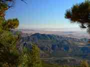 Blick vom Weg zum Mount Graham nach S&uu...