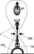 Solar radio physics: Magnetic configurat...