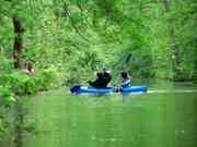 Betriebsausflug 2005 in den Spreewald.<P...