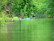 Betriebsausflug 2005 in den Spreewald.<P...