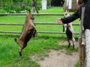 Betriebsausflug 2005 in den Spreewald.<P...