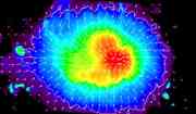 Magnetic field of a sunspot.<P>
...