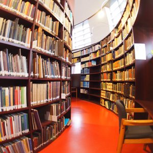 Shelves rotunda