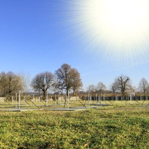 Das LOFAR-Feld, eine Wiese mit flachen Radioantennen, an einem sonnigen Tag.