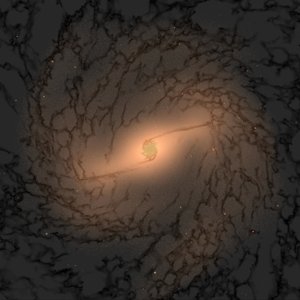 simulation from the SMUGGLE-Ring project