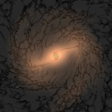 simulation from the SMUGGLE-Ring project