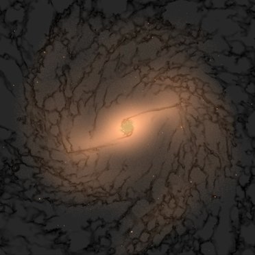 simulation from the SMUGGLE-Ring project