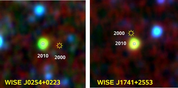 Two new nearby brown dwarfs