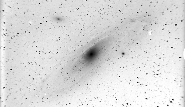 Schwarz-weiße Fotoplatte der Andromedagalaxie. Das Zentrum und die Spiralarme der Galaxie sind zu erkennen, drumherum Sterne.
