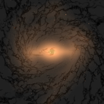 simulation from the SMUGGLE-Ring project
