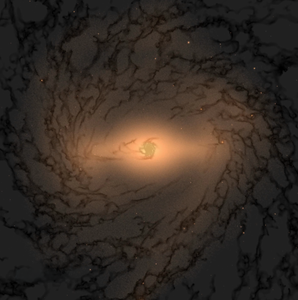 simulation from the SMUGGLE-Ring project