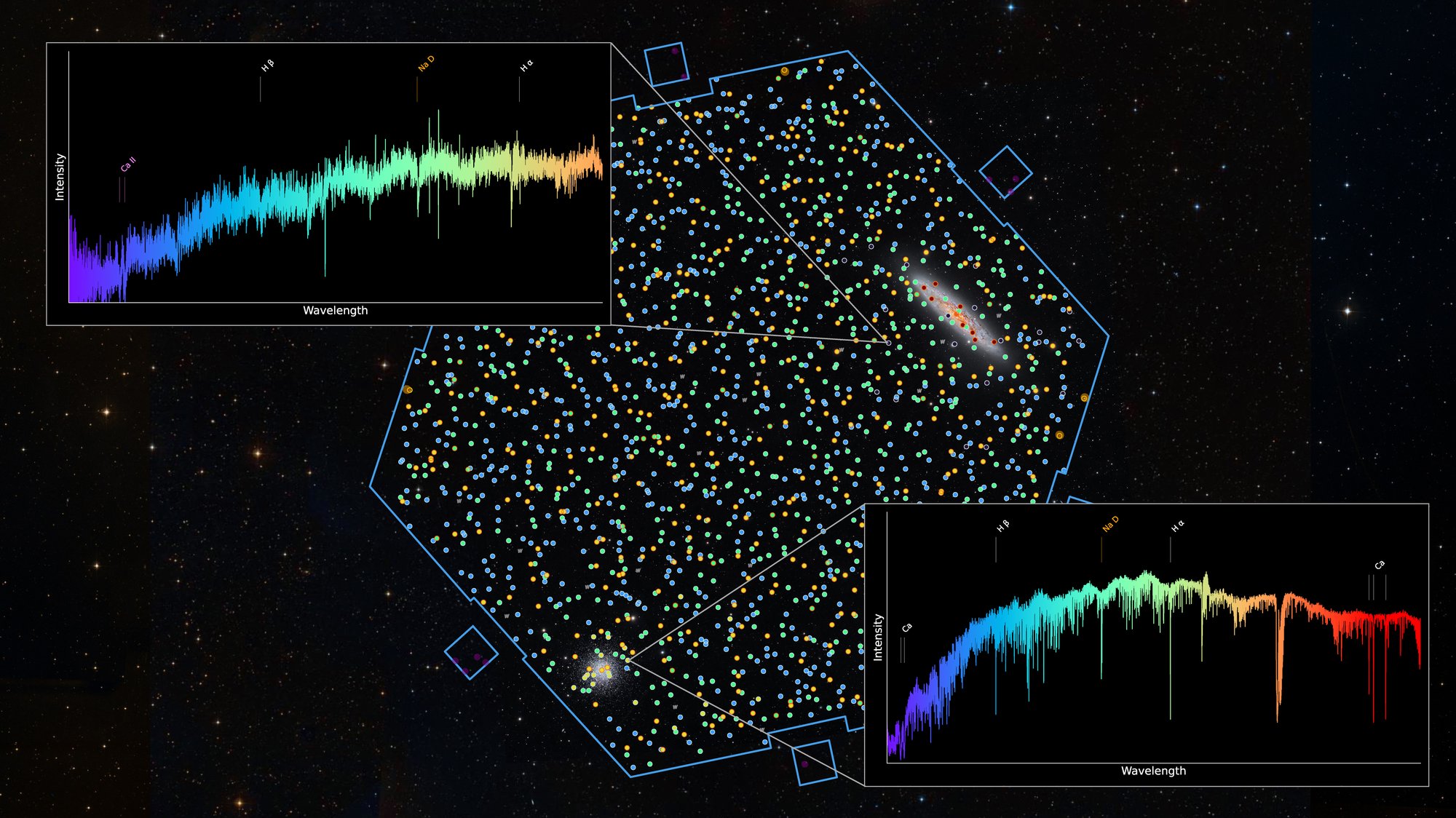Il cielo intorno alla galassia dello scultore NGC 253 e all'ammasso globulare NGC 288 è stato l'obiettivo delle prime osservazioni con 4MOST. La cornice blu mostra il confine del campo visivo di 4MOST. Ogni cerchio è una delle oltre 2400 fibre. Le immagini incorporate mostrano lo spettro di un ammasso stellare nella galassia dello Scultore (in alto) e lo spettro di una stella nell'ammasso globulare (in basso). Credits: AIP/R. de Jong, CRAL/J.-K. Krogager, Background: Harshwardhan Pathak/Telescope Live