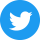 Twitter social icon