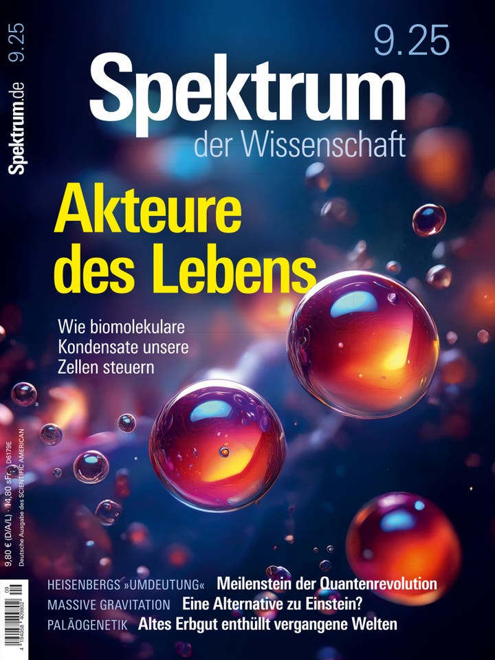 Cover-Bild der neuesten Neuerwerbung
