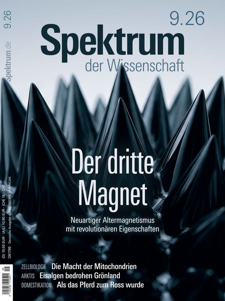 Cover-Bild der neuesten Neuerwerbung