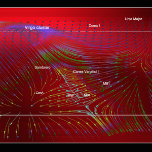 news-motion-patterns.png