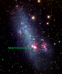 Green pea galaxy NGC 2366 resolved in thousands of blue (young) stars. Nebulae appear as red/rose areas. Mrk 71, the brightest one, is indicated by an arrow in the centre of the image.